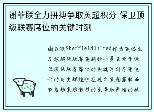 谢菲联全力拼搏争取英超积分 保卫顶级联赛席位的关键时刻