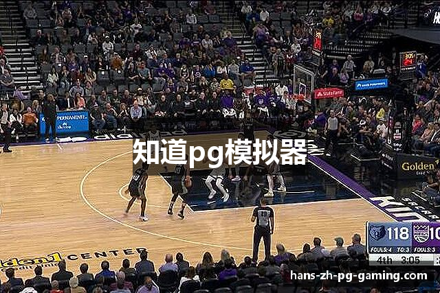 知道pg模拟器